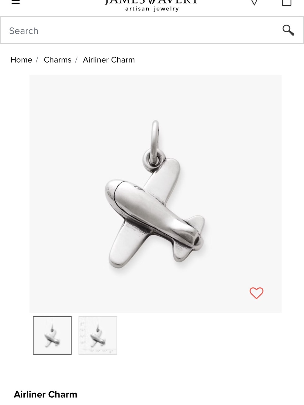 Airliner charm